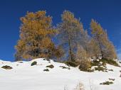 30 Splendidi colori